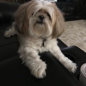 Meet your Posher, Sharon